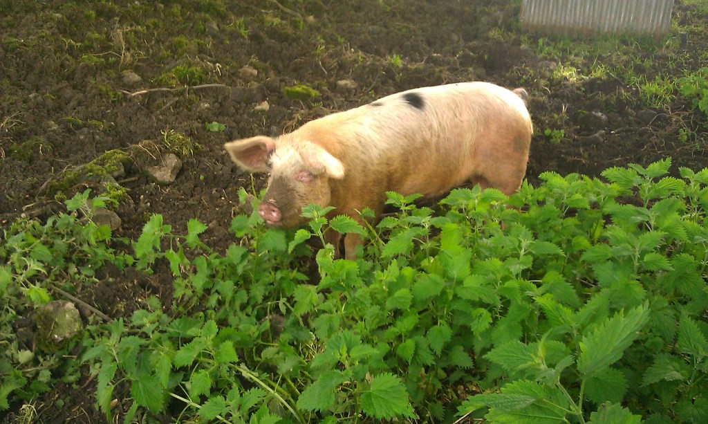 Having A Good&nbsp;Time?