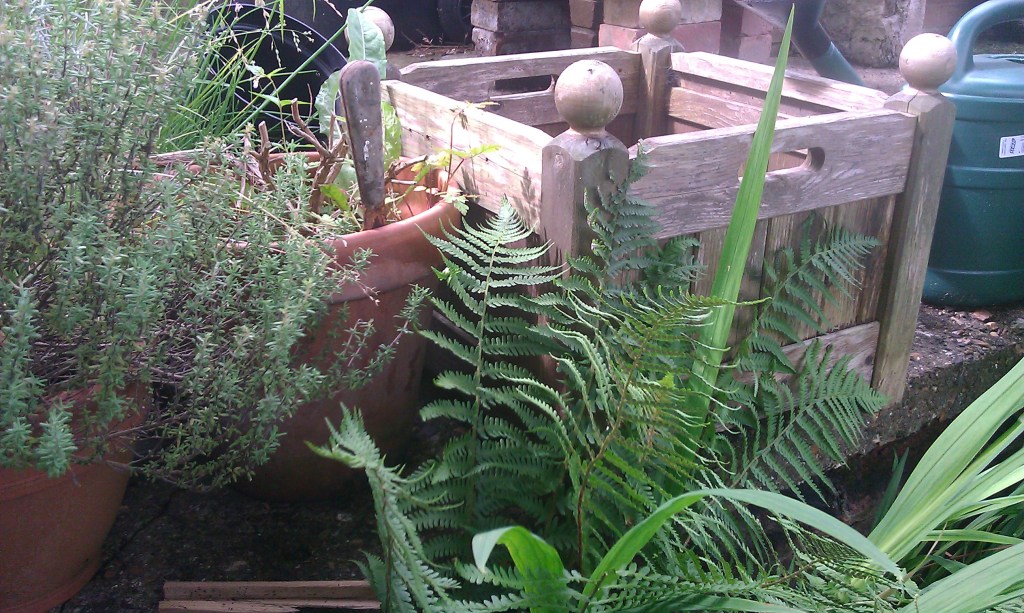 Campaign for the promotion of Shakespearean&nbsp;insults…