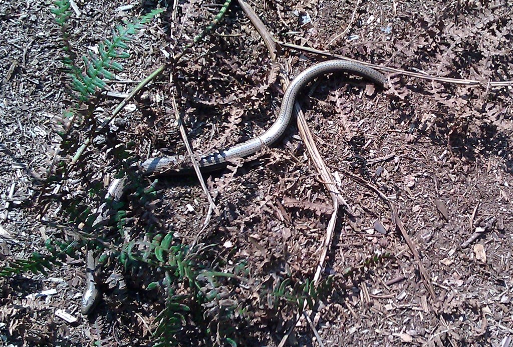 Ready For The&nbsp;Off…