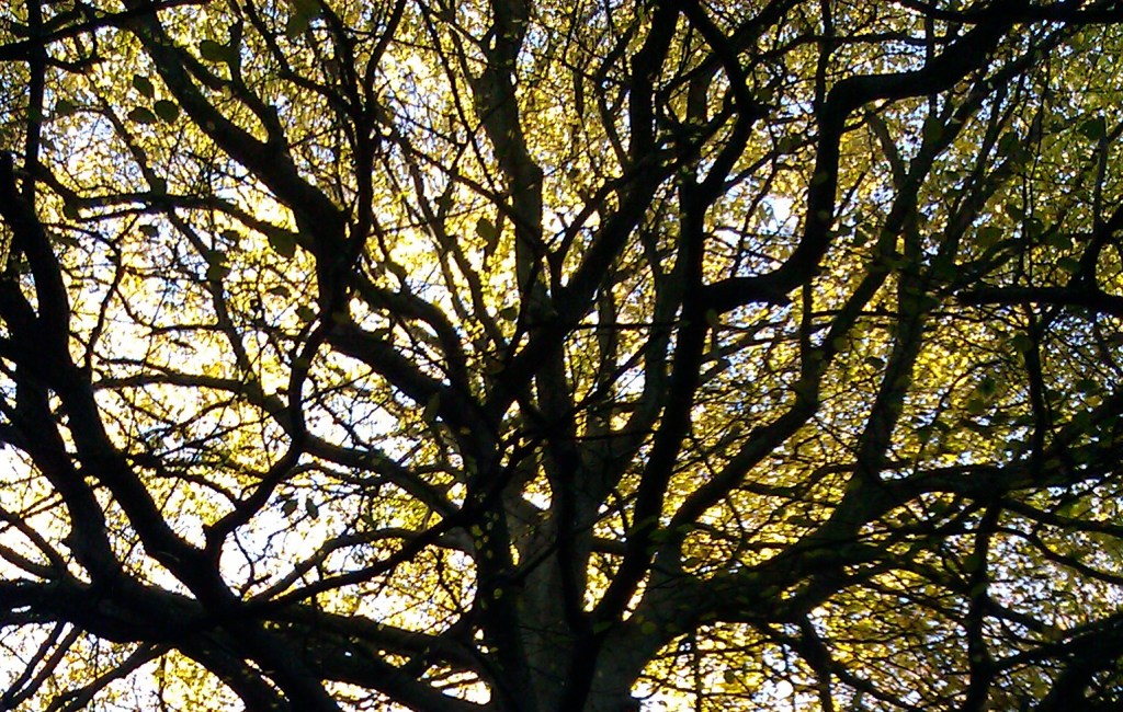 Keeping my eyes&nbsp;open…