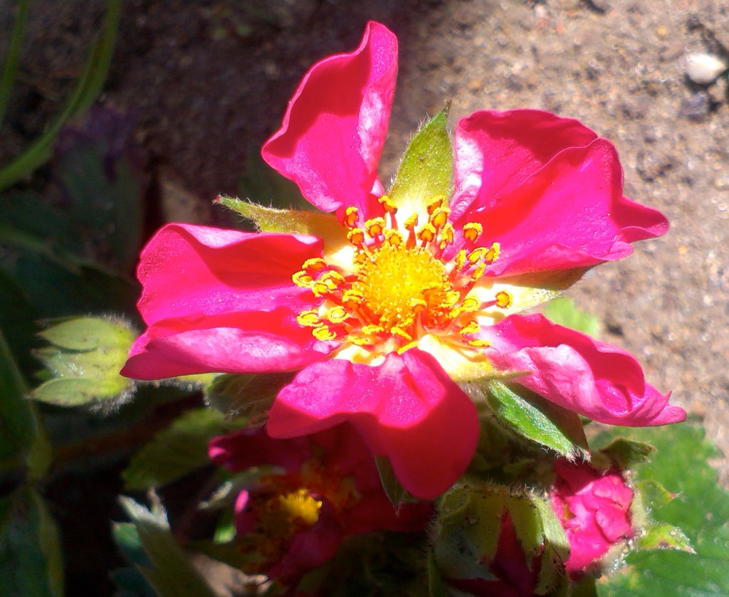 What I should be&nbsp;doing…