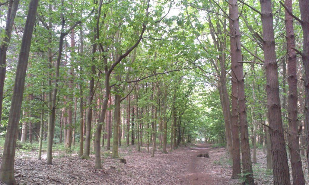 They're up there, watching...