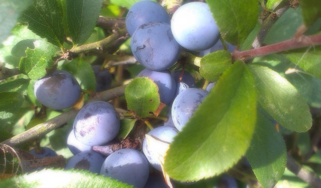 Melancholy and excitement…